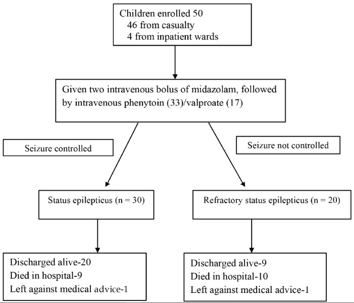 Clinico-Etiological Profile of Pediatric Refractory Status Epilepticus at a Public Hospital in India.