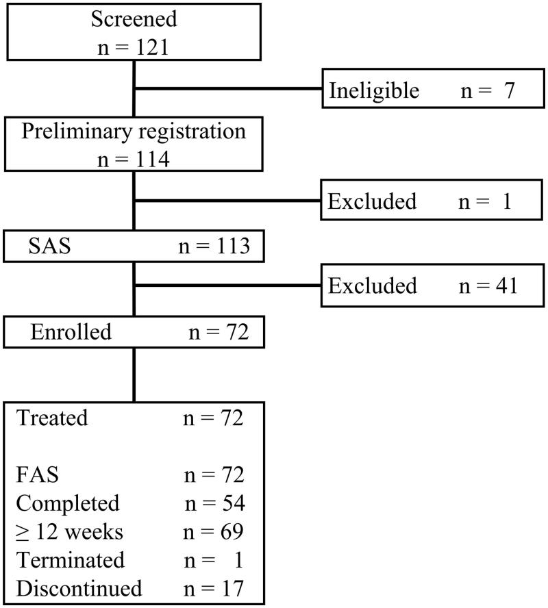 Long-term safety and efficacy of rupatadine in Japanese patients with perennial allergic rhinitis: a 52-week open-label clinical trial.