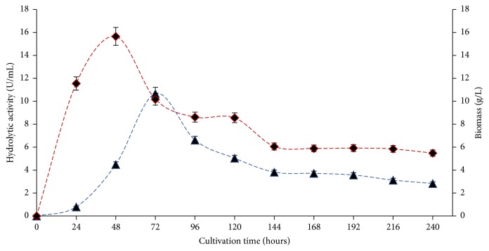 Lipolytic Enzymes with Hydrolytic and Esterification Activities Produced by Filamentous Fungi Isolated from Decomposition Leaves in an Aquatic Environment.