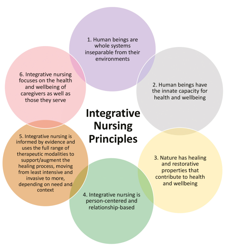 Advancing Well-Being and Health of Elderly with Integrative Nursing Principles.