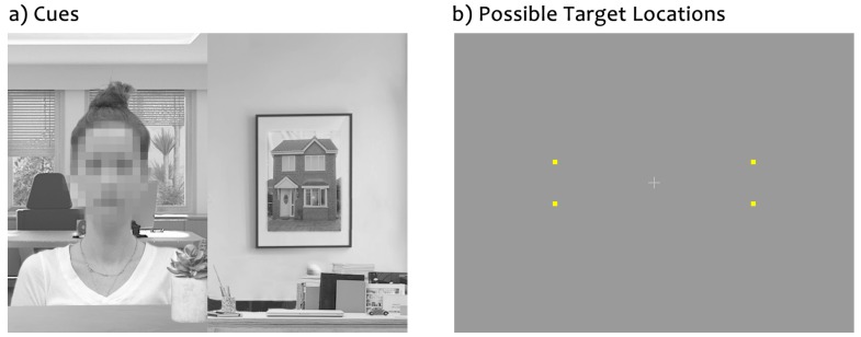 Contextually-Based Social Attention Diverges across Covert and Overt Measures.