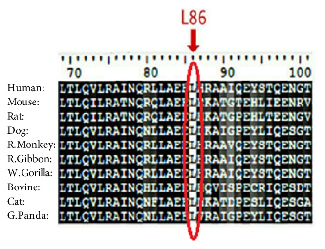 Novel Deleterious nsSNPs within <i>MEFV</i> Gene that Could Be Used as Diagnostic Markers to Predict Hereditary Familial Mediterranean Fever: Using Bioinformatics Analysis.