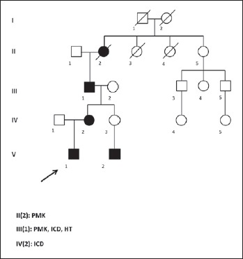 Cardiac diseases as a predictor warning of hereditary muscle diseases. The case of laminopathies.