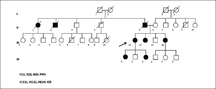 Cardiac diseases as a predictor warning of hereditary muscle diseases. The case of laminopathies.