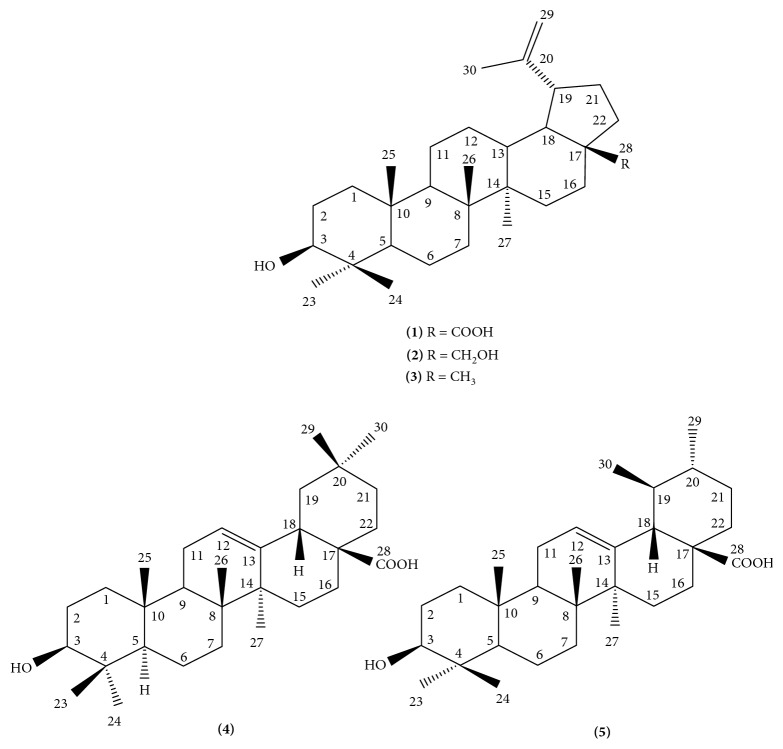 Evaluation of Anti-HIV-1 Integrase and Anti-Inflammatory Activities of Compounds from <i>Betula alnoides</i> Buch-Ham.