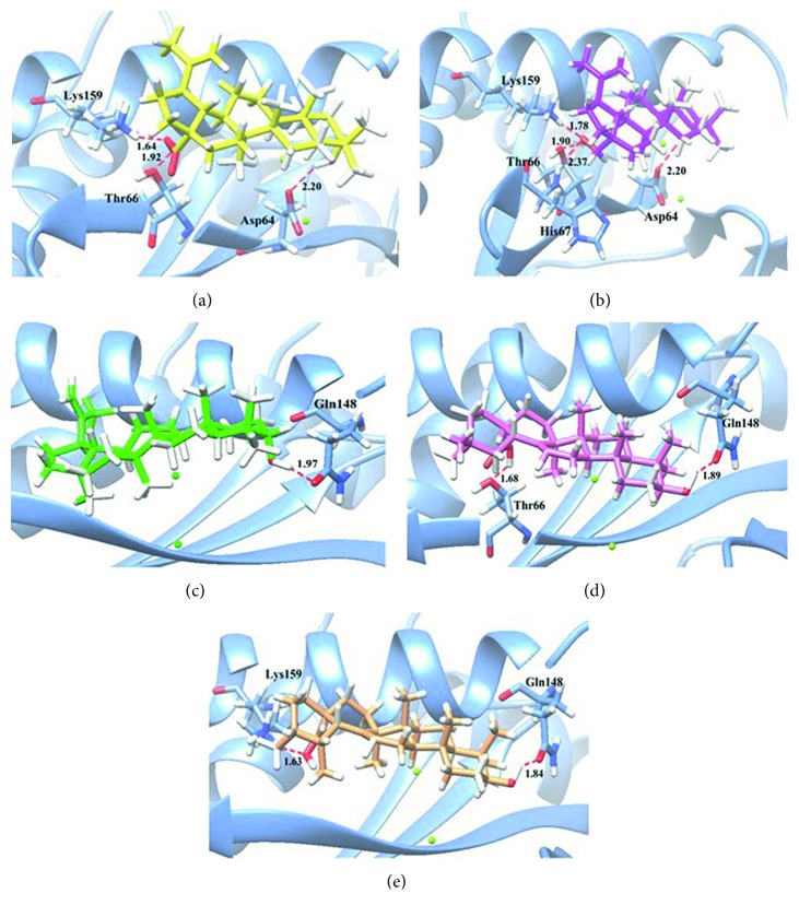 Evaluation of Anti-HIV-1 Integrase and Anti-Inflammatory Activities of Compounds from <i>Betula alnoides</i> Buch-Ham.