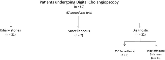 Clinical impact of digital cholangioscopy in management of indeterminate biliary strictures and complex biliary stones: a single-center study.