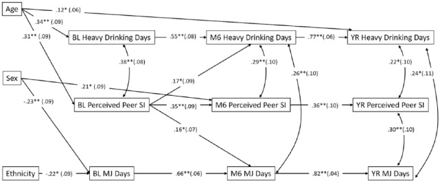 Is it Selection or Socialization? Disentangling Peer Influences on Heavy Drinking and Marijuana Use Among Adolescents Whose Parents Received Brief Interventions.