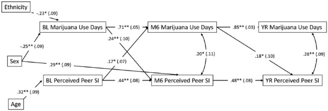 Is it Selection or Socialization? Disentangling Peer Influences on Heavy Drinking and Marijuana Use Among Adolescents Whose Parents Received Brief Interventions.