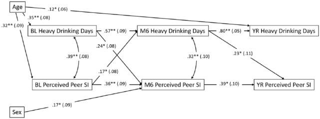 Is it Selection or Socialization? Disentangling Peer Influences on Heavy Drinking and Marijuana Use Among Adolescents Whose Parents Received Brief Interventions.