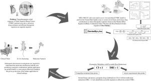 Implementation of the Chou-Talalay method for studying the in vitro pharmacodynamic interactions of binary and ternary drug combinations on MDA-MB-231 triple negative breast cancer cells