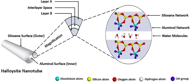 Halloysite nanotubes as a nature's boon for biomedical applications.