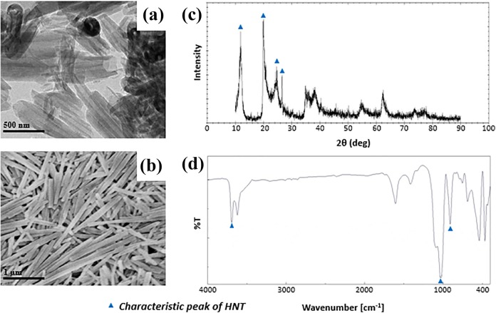 Halloysite nanotubes as a nature's boon for biomedical applications.