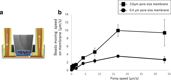 Perfusion culture maintained with an air-liquid interface to stimulate epithelial cell organization in renal organoids in vitro.