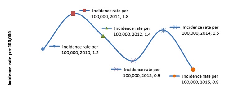 Bicycle-related traumatic injury hospitalizations: six years descriptive analysis in Qatar.