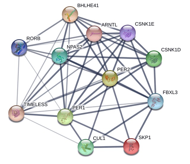 Genetic Variants in Circadian Rhythm Genes and Self-Reported Sleep Quality in Women with Breast Cancer.