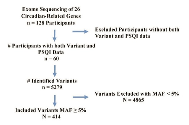 Genetic Variants in Circadian Rhythm Genes and Self-Reported Sleep Quality in Women with Breast Cancer.