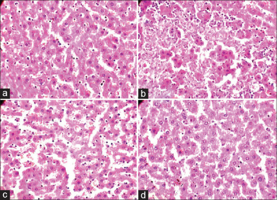 Safety profile of Ayurvedic poly‑herbomineral formulation - Bacnil capsule in albino rats.