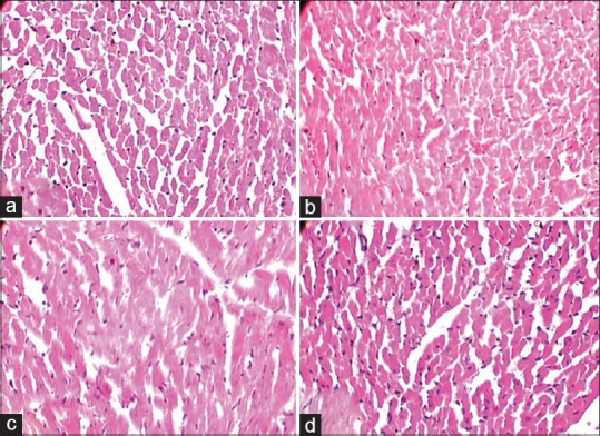 Safety profile of Ayurvedic poly‑herbomineral formulation - Bacnil capsule in albino rats.