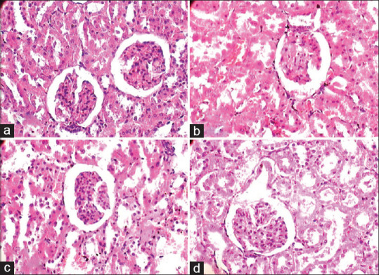 Safety profile of Ayurvedic poly‑herbomineral formulation - Bacnil capsule in albino rats.