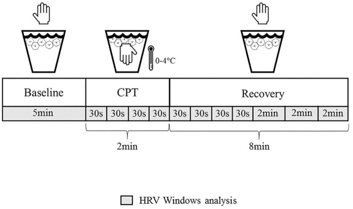 Cardiorespiratory Fitness Predicts Greater Vagal Autonomic Activity in Drug Users Under Stress.