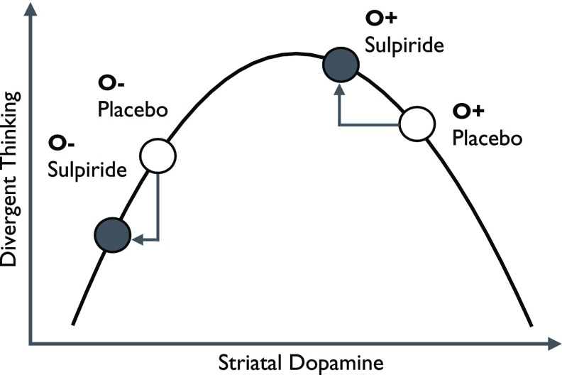 Openness to experience predicts dopamine effects on divergent thinking.