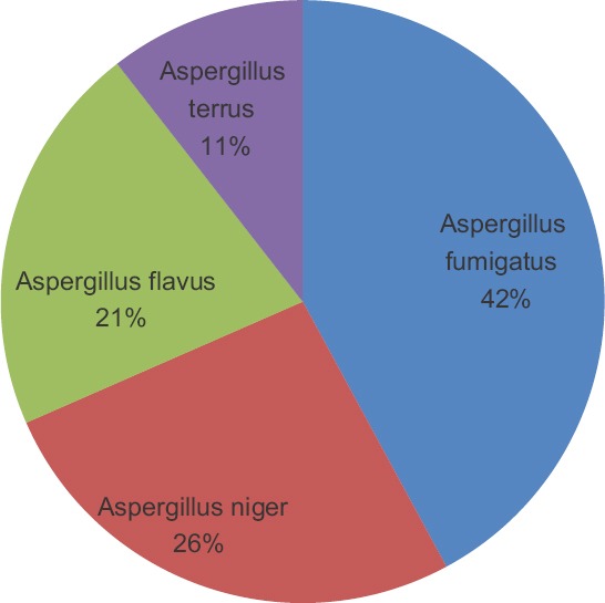 Phenotypic profile of pulmonary aspergillosis and associated cellular immunity among people living with human immunodeficiency virus in Maiduguri, Nigeria.