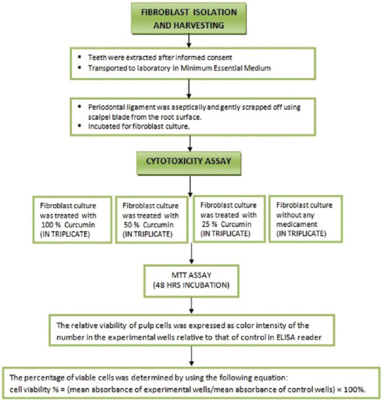 An <i>in vitro</i> evaluation of cytotoxicity of curcumin against human periodontal ligament fibroblasts.