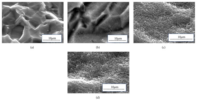 Evaluation of Photocatalytic and Protein Adsorption Properties of Anodized Titanium Plate Immersed in Simulated Body Fluid.