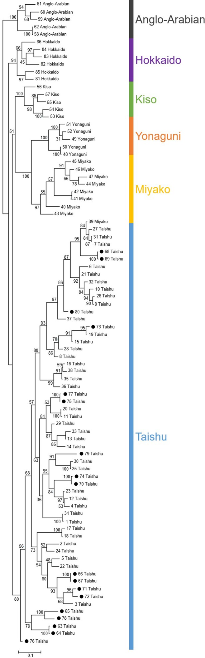 Genetic analysis of Taishu horses on and off Tsushima Island: Implications for conservation.