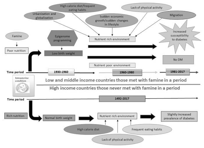 Impact of Early Life or Intrauterine Factors and Socio-Economic Interaction on Diabetes - An Evidence on Thrifty Hypothesis.