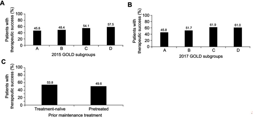 Assessment of physical functioning and handling of tiotropium/olodaterol Respimat<sup>®</sup> in patients with COPD in a real-world clinical setting.