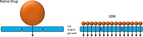 Nanomedicines towards targeting intracellular Mtb for the treatment of tuberculosis