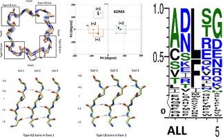 Type I beta turns make a new twist in pentapeptide repeat proteins: Crystal structure of Alr5209 from Nostoc sp. PCC 7120 determined at 1.7 angström resolution