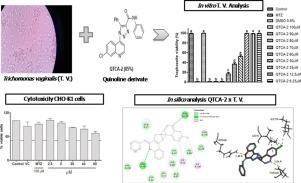 Quinolines-1,2,3-triazolylcarboxamides exhibits antiparasitic activity in Trichomonas vaginalis