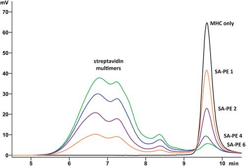 Production and Thermal Exchange of Conditional Peptide-MHC I Multimers