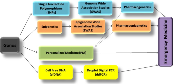 The Current Status of Genes and Genetic Testing in Emergency Medicine: A Narrative Review.