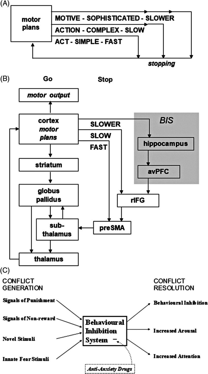 Does behavioural inhibition system dysfunction contribute to Attention Deficit Hyperactivity Disorder?