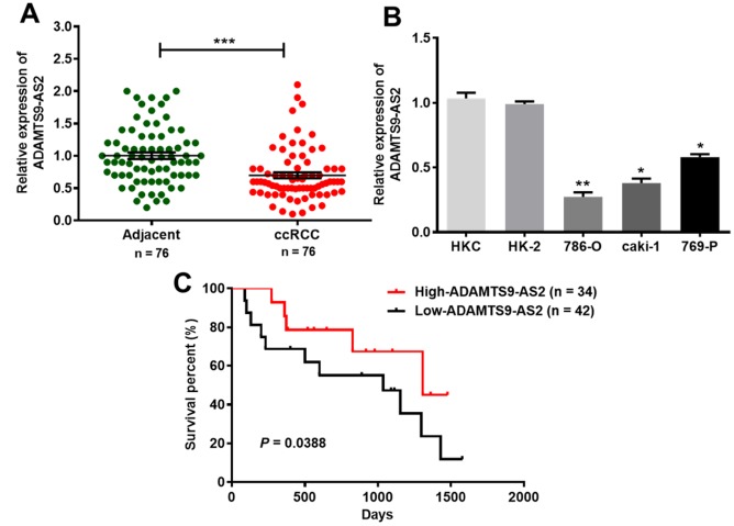 LncRNA ADAMTS9-AS2 inhibits cell proliferation and decreases chemoresistance in clear cell renal cell carcinoma via the miR-27a-3p/FOXO1 axis.