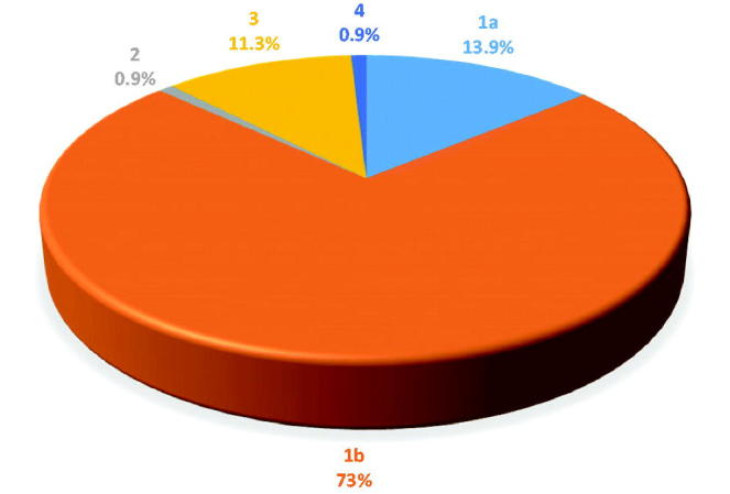 Hepatitis C virus genotype analysis in patients with chronic hepatitis in North Eastern Bulgaria.