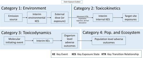 A proposal for creating a taxonomy of chemical interactions using concepts from the aggregate exposure and adverse outcome pathways