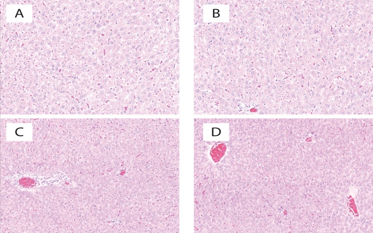 Acute and subacute toxicity of <i>Ammi visnaga</i> on rats.