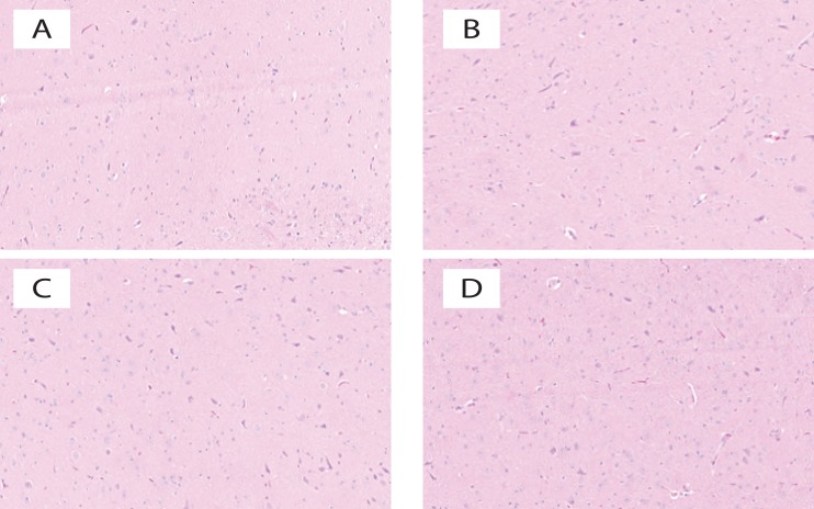 Acute and subacute toxicity of <i>Ammi visnaga</i> on rats.