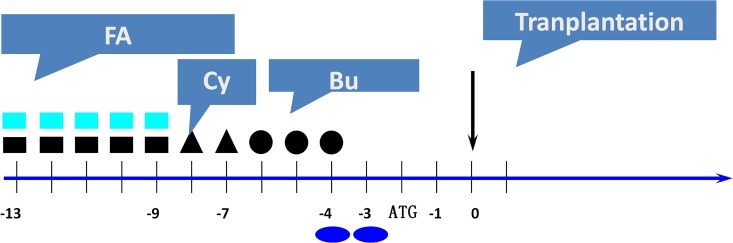 A Case of Acute Lymphocytic Leukaemia with t(3;13) and Central Nervous System Leukemia after Allogenic Cord Blood Transplantation.