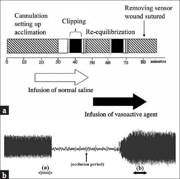 <i>In vivo</i> assessment of endothelial function in small animals using an infrared pulse detector.