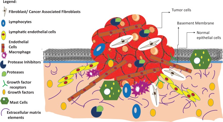 MicroRNAs as Key Regulators of Ovarian Cancers.