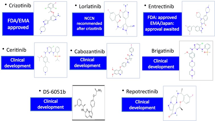 Profile of entrectinib and its potential in the treatment of ROS1-positive NSCLC: evidence to date.