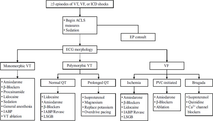 Electrical Storm in the Absence of a Structural Heart Disease in a Young Girl.