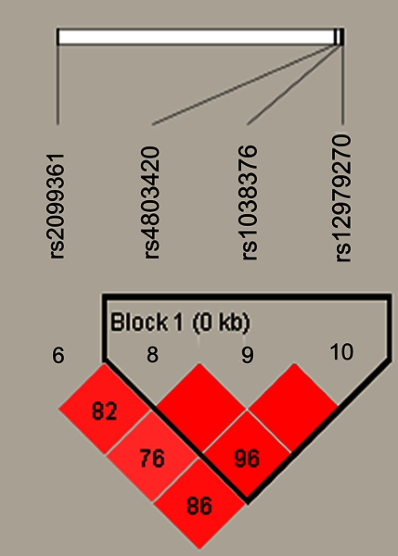 <i>CYP2B6</i> genetic polymorphisms influence chronic obstructive pulmonary disease susceptibility in the Hainan population.