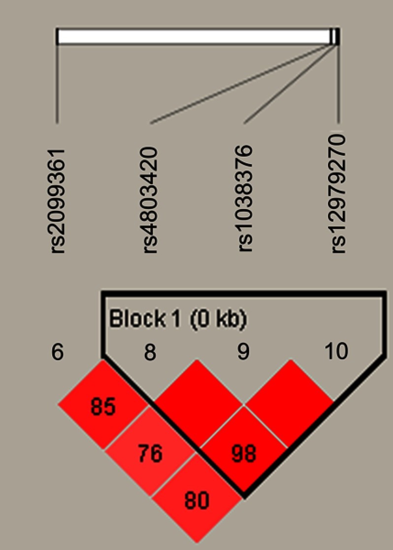 <i>CYP2B6</i> genetic polymorphisms influence chronic obstructive pulmonary disease susceptibility in the Hainan population.